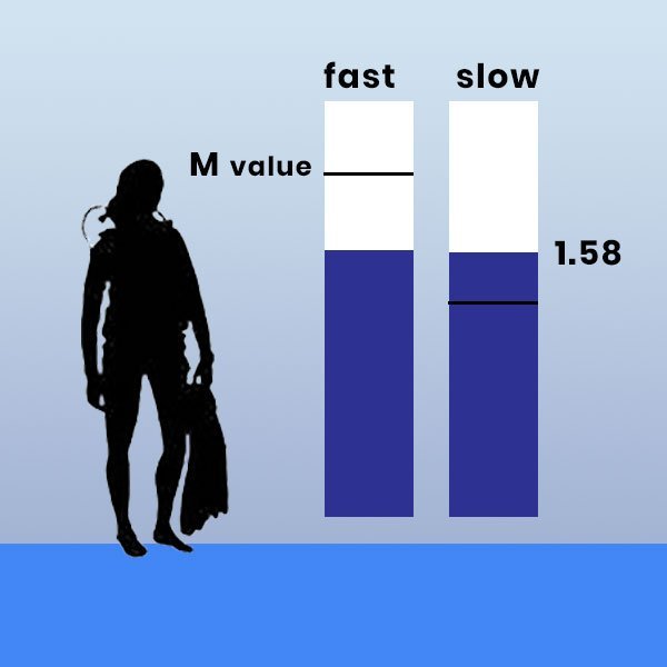 rdp-slow-fast compartments